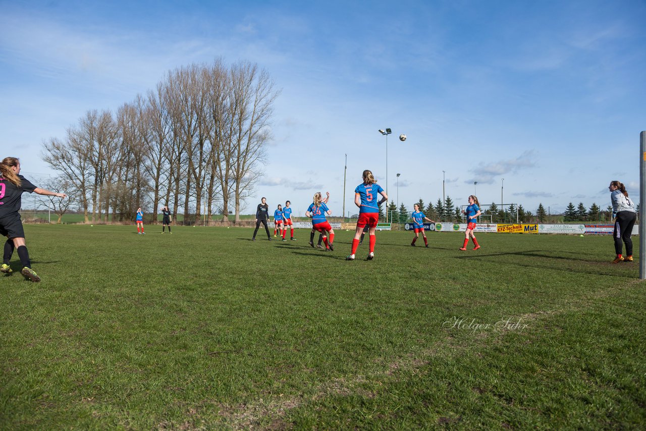 Bild 263 - C-Juniorinnen SV Steinhorst/Labenz - TSV Friedrichsberg-Busdorf : Ergebnis: 5:0